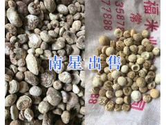 云南龍膽草價格-龍膽草出售/昆明龍膽草銷售供應圖2