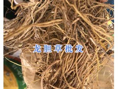 天南星價(jià)格信息/昆明南星批發(fā)-祿勸天南星圖3