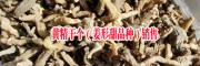 |貴州甜黃精供應(yīng)|藥廠投料貨黃精干個|花黃精滇黃精根莖|