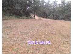 昆明宜良縣林地、土地有證轉(zhuǎn)讓*云南昆明土地流轉(zhuǎn)服務(wù)圖1