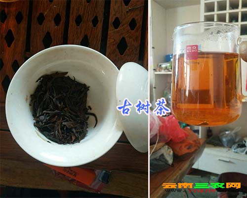 古樹茶