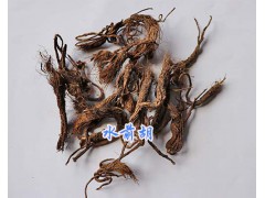 云南馬尾黃連成品&三七根/水前胡批發(fā)-辛夷花多少錢(qián)一斤圖2