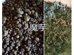 百部批發(fā)價格/萊菔子（蘿卜籽）批發(fā)-紅河蒙自魔芋出售圖3