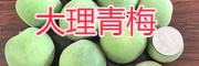 青梅子批發(fā)-大理新鮮青梅_云南產(chǎn)地青梅