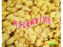 云南含硫姜制品 干姜片(中統(tǒng))云南貨價(jià)格在23-24元之間，進(jìn)口貨20-22元圖3