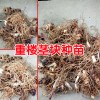 重樓育苗移栽技術(shù)方法與事項(xiàng)？