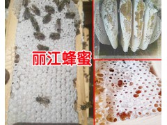 如何鑒別蜂蜜-麗江農(nóng)特產(chǎn)信息網(wǎng)400-6633-626圖2