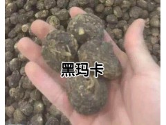 瑪卡鮮果銷售信息_云南瑪卡鮮果種植供應戶圖3