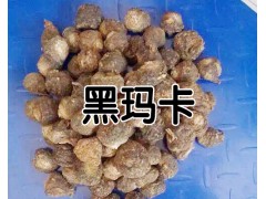 麗江瑪咖哪里有賣？_云南麗江瑪咖食用方法圖2