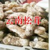 姬松茸價格多少錢一斤?麗江農(nóng)特產(chǎn)信息網(wǎng)