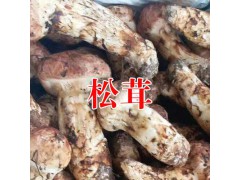 冰凍松茸價(jià)格多少錢一斤?圖1