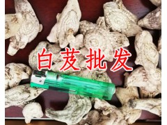 白芨多少錢一斤？白芨價(jià)格 白芨7月份行情圖3