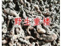 重樓市場價格-今年重樓價格圖2