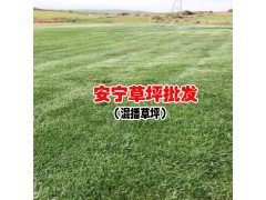 草皮價格報價中心_報價供應商圖3