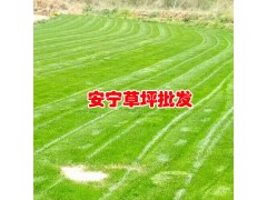 草皮的價格_草皮(坪)一平米多少錢?圖3