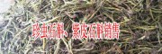 紫皮石斛多少錢(qián)一斤?紫皮石斛有什么功效與作用