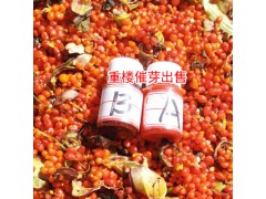 重樓種子催芽用什么藥- 重樓催芽到什么程度圖1