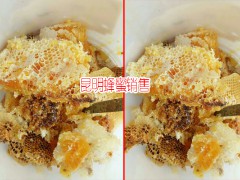 昆明土蜂蜜批發(fā)_土蜂蜜多少一公斤圖2