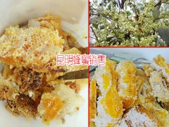 云南昆明土蜂蜜的特點(diǎn)圖3