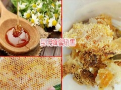 云南昆明土蜂蜜_蜜蜂箱的制作方法圖2