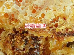 云南德宏州瑞麗百花蜜多少錢1斤?-土蜂蜜的功效圖2