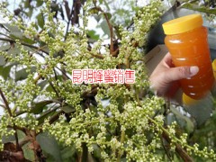 云南保山市土蜂蜜多少錢?圖2