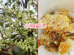 云南保山市土蜂蜜多少錢?圖3