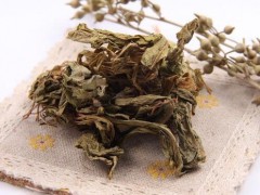 燈盞花*燈盞花（燈盞細(xì)辛\東菊）種子*燈盞花種植圖3