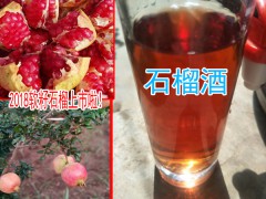 果樹苗種植網(wǎng)云南會澤縣果樹苗種植網(wǎng)_軟籽石榴水果成熟上市圖2