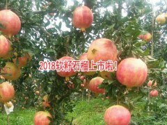 軟籽石榴與西瓜可以同食嗎?-軟籽石榴公司客服圖2