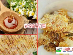 昆明蜂蜜_昆明哪有比較好的真蜂蜜賣_正宗昆明蜂蜜出售圖2