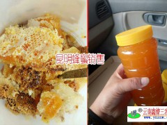 昆明蜂蜜_昆明蜂蜜 蜂王漿產(chǎn)品供應(yīng)商圖1