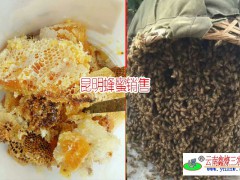 昆明蜂農(nóng)說這樣辨別真假蜂蜜?圖3