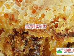 真蜂蜜超過40度高溫容易發(fā)酵_昆明天然蜂蜜供應(yīng)商圖2