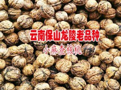 云南30mm去皮干核桃多少錢一斤圖2