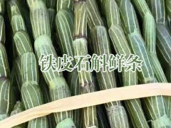 云南保山龍陵段賽華石斛種植基地圖3