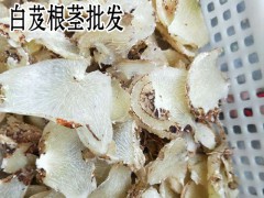 白芨什么功效_小白芨功效是什么？圖2