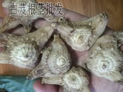 白芨的功效有哪些_白芨的功效作用有哪些圖2