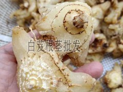 白芨能賣多少錢一斤?_白芨種子多少錢一斤?_白芨畝產(chǎn)多少公斤圖3