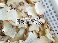 小白芨干貨多少錢一斤?_白芨干貨多少錢一斤圖2