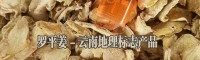 羅平縣姜業(yè)購(gòu)銷專業(yè)合作社產(chǎn)品圖片信息