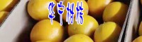 云南華寧柑桔技術(shù)產(chǎn)業(yè)_云南省盤溪鎮(zhèn)柑桔基地