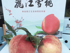 玉龍種植園產(chǎn)品信息圖2