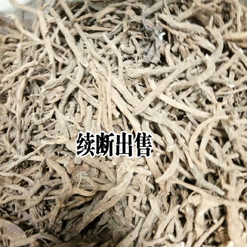 續(xù)斷的兩種種植方式?(直播和育苗)