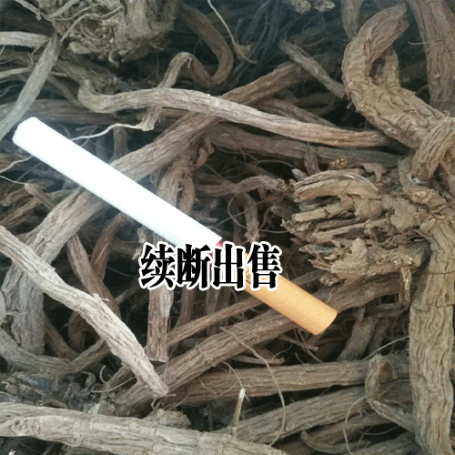 續(xù)斷的種植_續(xù)斷的病蟲防治案例