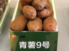 被譽為“薯中精品_奇彩土豆圖3