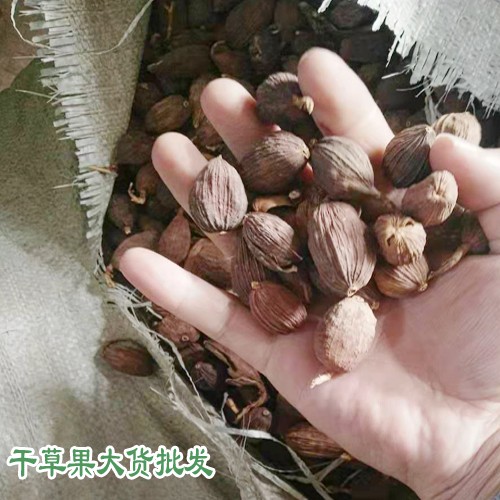 越南、紅河和文山草果產(chǎn)區(qū)量有多少?