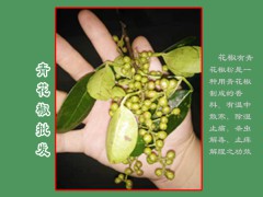 青花椒每畝收入在多少?_青花椒價格免費(fèi)咨詢圖1