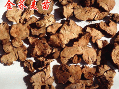 金蕎麥生長在那里多?_金蕎麥種植方法?圖2