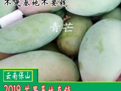 吃青芒果的好處？芒果怎么吃？圖3